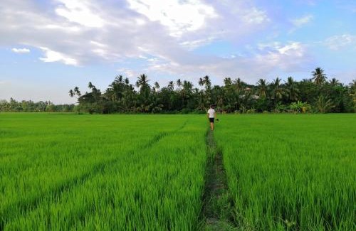 Yodakandiya House | Viveka Inn Guest and Yala Safari