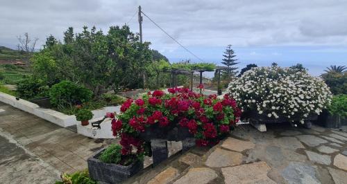 Villa de Mazo House | Vivienda Vacacional Finca Monterrey Mazo