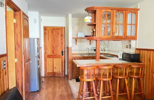 Pucon Apartment | Volcano shelter. 1 km from downtown!