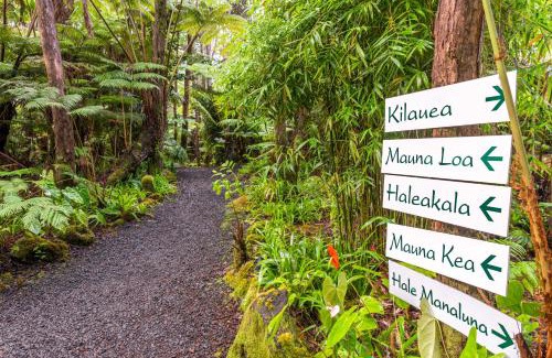 Volcano Bed & Breakfast | Volcano Village Lodge
