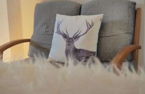 Esterri D'Aneu Apartment | Vora Riu