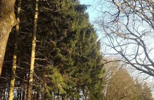 Bad Marienberg Apartment | Vrbo Property