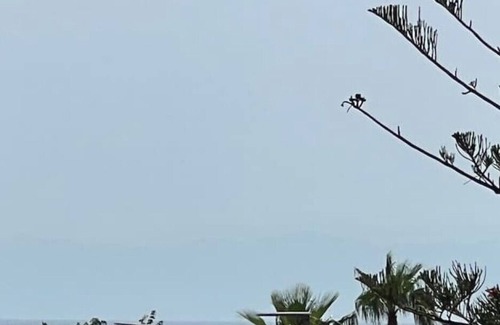 Province of Cagliari Apartment | Vrbo Property