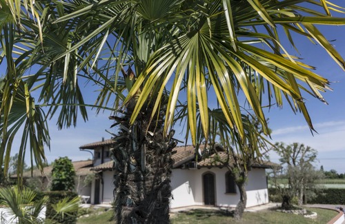 Borgo Montone Villa | Vrbo Property