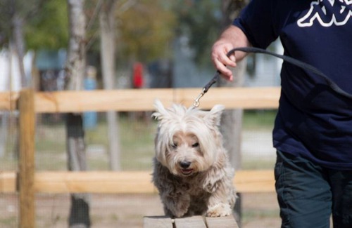 Lido di Spina House | Vrbo Property