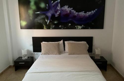 La Restinga Apartment | VV Princesa Guayarmina