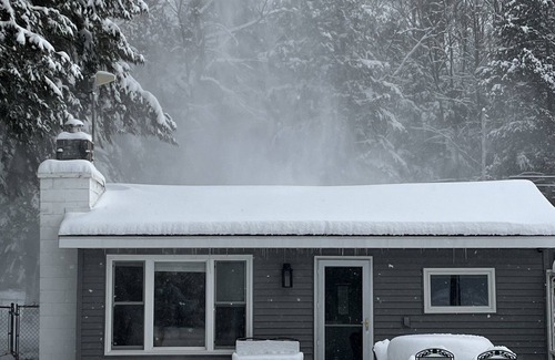 Cadillac Cottage | W Lake Mitchell. Private shared frontage. Quiet side of lake. ORV trail access.