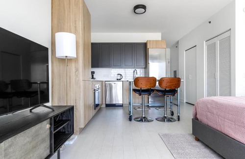 West Loop Apartment | W Loop Studio w Gym Pool Coworking nr UIC CHI-397