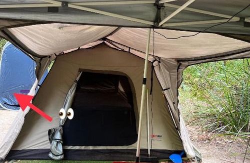 Yeagarup Other | WA Wilderness Camping Experience
