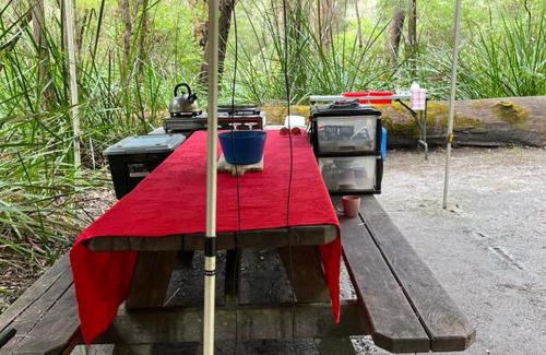 Yeagarup Other | WA Wilderness Camping Experience