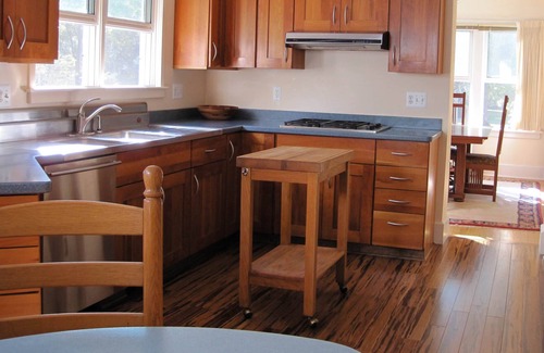 North Burns Park House | Walk to Big House AND campus from charming neighborhood