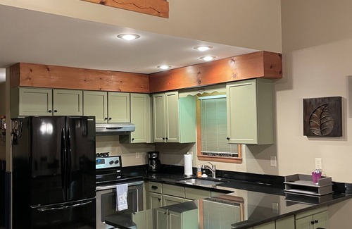 Greentown House | Wallenpaupack House with private dock!