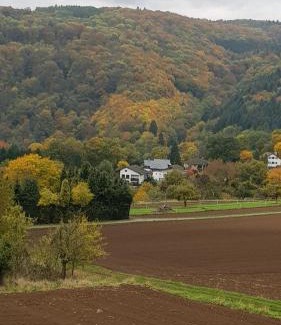 Melsbach Apartment | Wanderoase