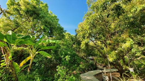 Amphawa House | Warakorn Baansuan Amphawa