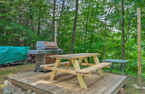 Jamaica House | Warm and Inviting Jamaica Cabin with Grill Ski and Hike