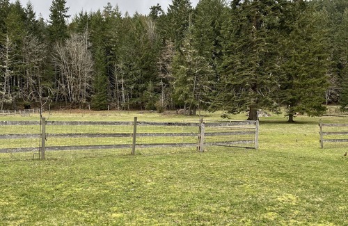 Duncan House | Warm, inviting updated 2 bdrm house in the forest-only minutes to town centre.