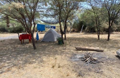 Mancora Other | Wasi Center Homestay Holistic and Mystic