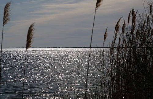 East Moriches House | Water View Bungalow Minutes to the Hampton Beaches