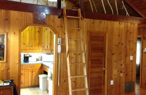 Port Republic House | Waterfront Cabin with Million Dollar View and Luxury Bath! Find Shark's Teeth!