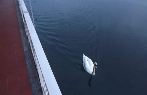 Orta San Giulio Cottage | Waterfront Cottage On The Laken00311200079