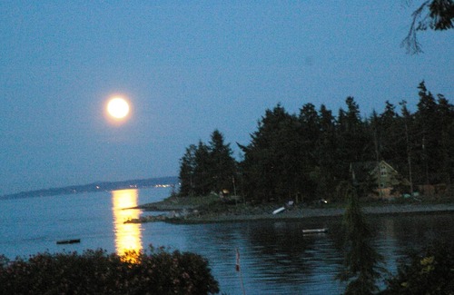 Regional District of Nanaimo Cottage | Waterfront Cozy Duplex Studio Hot tub BBQ clams/oysters kayak rentals