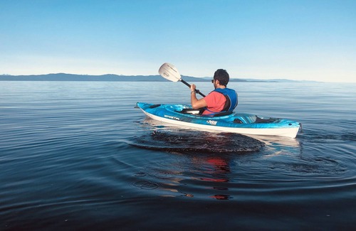 Regional District of Nanaimo Cottage | Waterfront Cozy Duplex Studio Hot tub BBQ clams/oysters kayak rentals