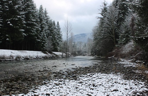 North Bend Cabin | Waterfront Winter Wonderland by Vacationloghome