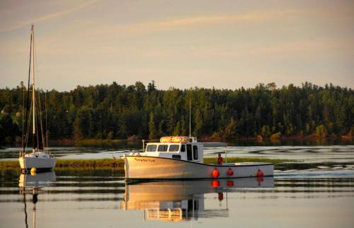 Cardigan Apartment | Waterside Apts.