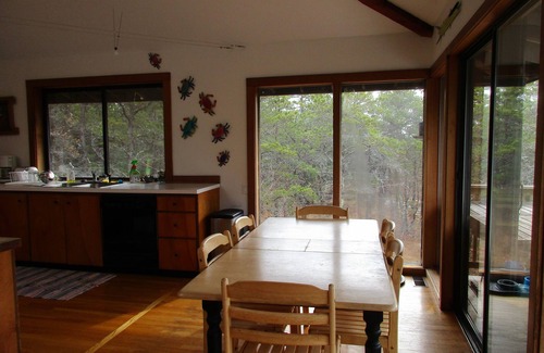 Wellfleet House | Wellfleet Contemporary with Tree Top Views