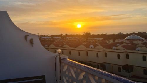 Bahia Calma Apartment | Welooveyou Parrots