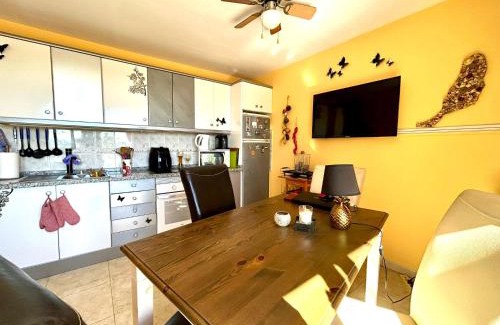 Bahia Calma Apartment | Welooveyou Parrots