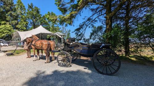Pensilva Cabin | Wheal Tor Hotel & Glamping