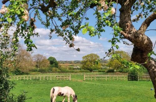 Ashbourne House | Wheelwright's Cottage