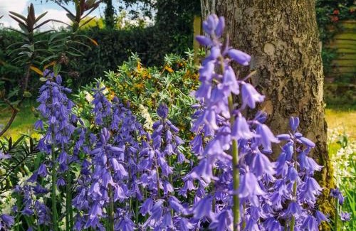 Ashbourne House | Wheelwright's Cottage