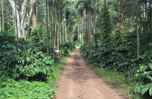 Kushalnagar House | Whistling Woods Farm Stay