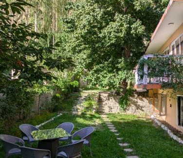 Karimabad Hotel | White Apricot Lodge