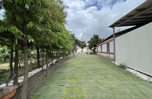 Dongshi Bed & Breakfast | White Horse & Star Garden Inn