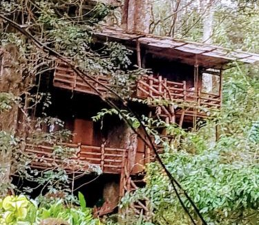 Kunchithanny House | Whitetea Estatehouse