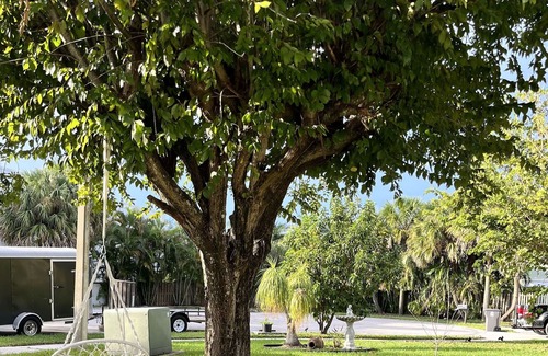 Jupiter House | Whole House 10 mins from Jupiter beach