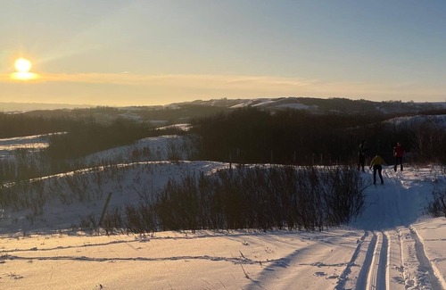 Division No. 7 House | Wide Valley Main Suite