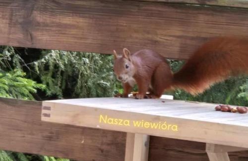 Podjazy House | Widny Jaś zaprasza z psem nad jezioro na Kaszubach