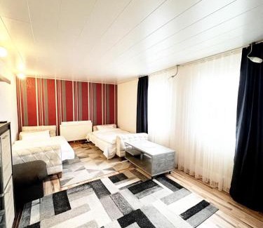 Mainz-Kastel House | Wiesbaden Mainz kleines Haus mit Garten Grill