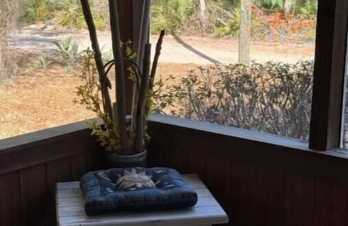 Edgar House | Wildlife Retreat in the Ocala National Forest