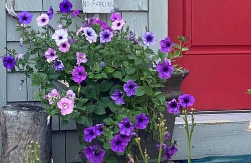 Vinalhaven Cabin | Wildwood Cottage and Bunkhouse