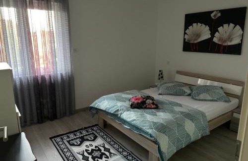 Niederschaeffolsheim Villa | Willa willi