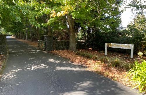 Kumeu Cabin | Willows Reach Lodge