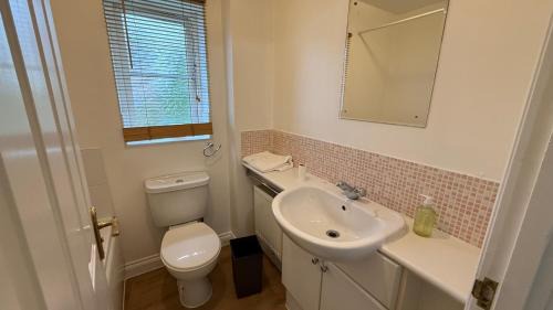 Eastleigh House | Wilmer House 2