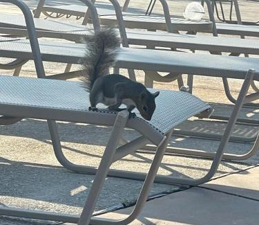 Port St. Joe Resort | Windmark beach resort, brand new build guest suite