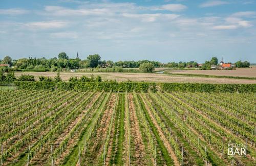 Dreischor House | Wine-Barrel Pinot Noir