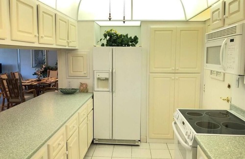 Isles of Capri Condo | Winter Island Get Away Visit the Dolphin and Manatee